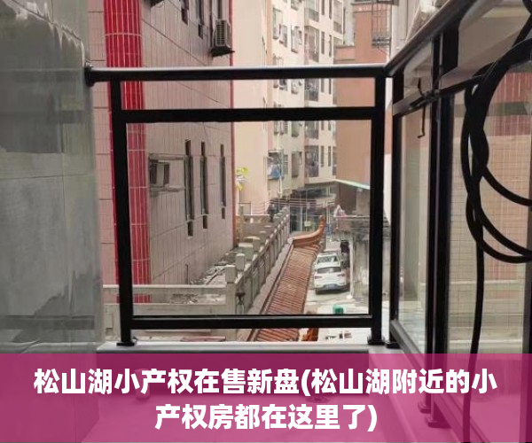松山湖小产权在售新盘(松山湖附近的小产权房都在这里了) 松山湖小产权在售新盘(松山湖附近的小产权房都在这里了)