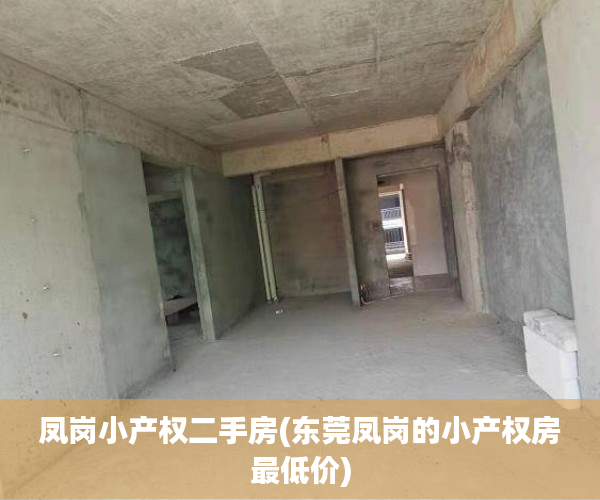 凤岗小产权二手房(东莞凤岗的小产权房最低价) 凤岗小产权二手房(东莞凤岗的小产权房最低价)