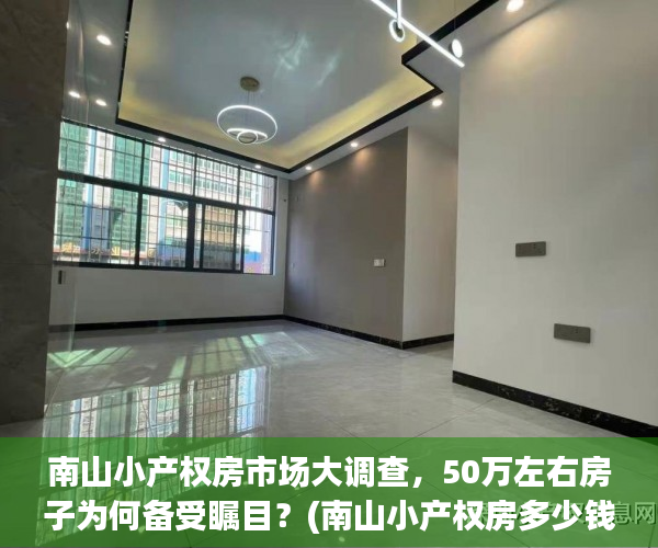 南山小产权房市场大调查，50万左右房子为何备受瞩目？(南山小产权房多少钱一平)
