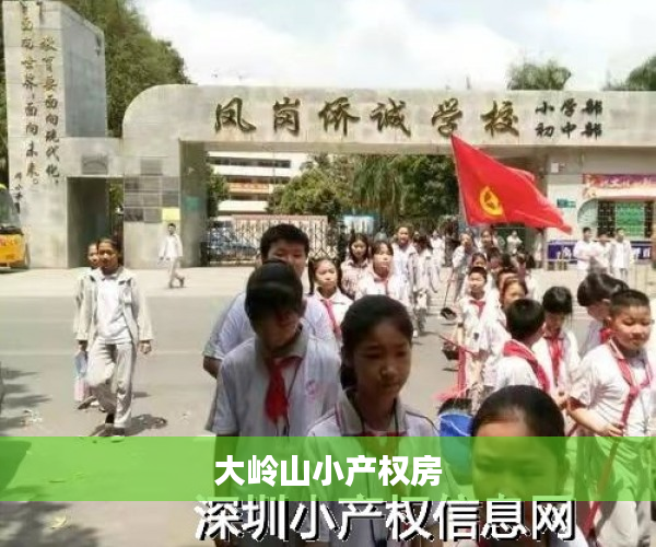 大岭山小产权房 大岭山小产权房