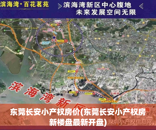 东莞长安小产权房价(东莞长安小产权房新楼盘最新开盘) 东莞长安小产权房价(东莞长安小产权房新楼盘最新开盘)