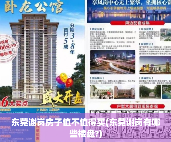 东莞谢岗房子值不值得买(东莞谢岗有哪些楼盘?) 东莞谢岗房子值不值得买(东莞谢岗有哪些楼盘?)