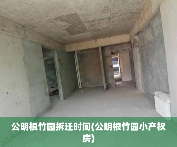 公明根竹园拆迁时间(公明根竹园小产权房)