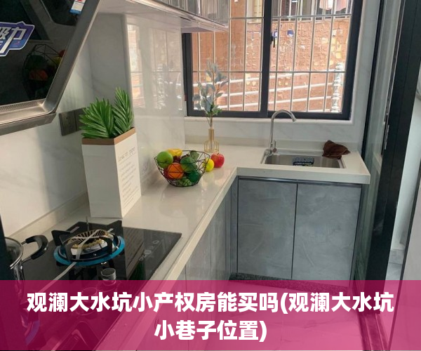 观澜大水坑小产权房能买吗(观澜大水坑小巷子位置)