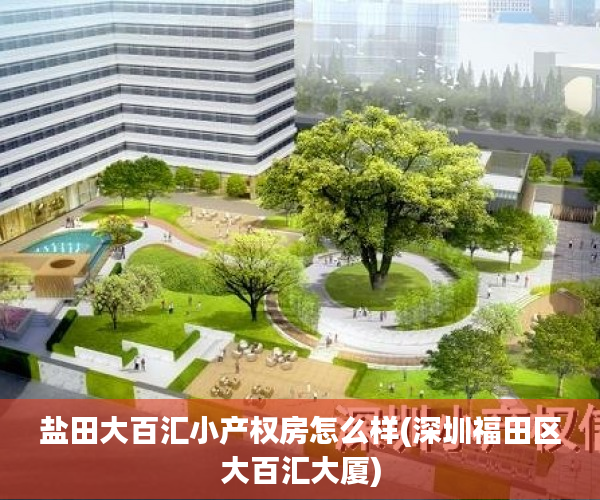 盐田大百汇小产权房怎么样(深圳福田区大百汇大厦) 盐田大百汇小产权房怎么样(深圳福田区大百汇大厦)