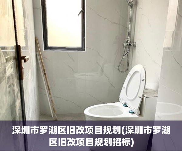 深圳市罗湖区旧改项目规划(深圳市罗湖区旧改项目规划招标)