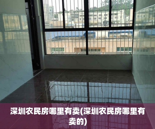 深圳农民房哪里有卖(深圳农民房哪里有卖的)