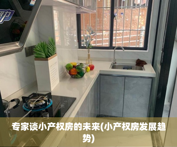 专家谈小产权房的未来(小产权房发展趋势)