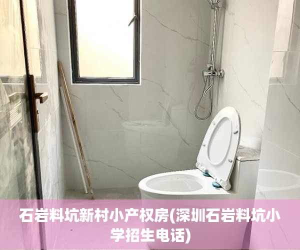 石岩料坑新村小产权房(深圳石岩料坑小学招生电话)