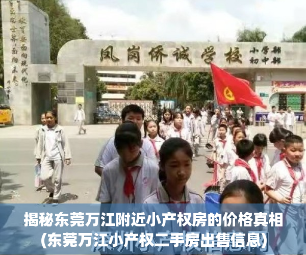 揭秘东莞万江附近小产权房的价格真相(东莞万江小产权二手房出售信息)