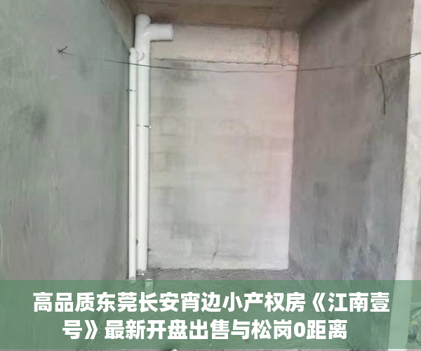 高品质东莞长安宵边小产权房《江南壹号》最新开盘出售与松岗0距离  