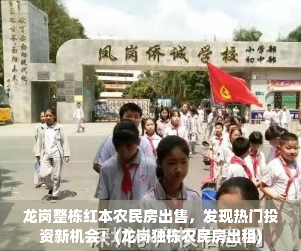 龙岗整栋红本农民房出售，发现热门投资新机会！(龙岗独栋农民房出租)