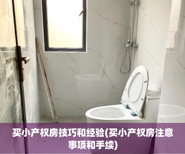 买小产权房技巧和经验(买小产权房注意事项和手续)