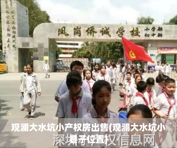 观澜大水坑小产权房出售(观澜大水坑小巷子位置)