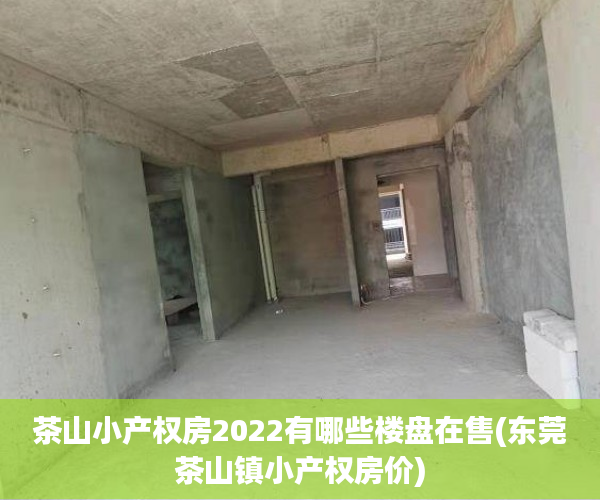 茶山小产权房2022有哪些楼盘在售(东莞茶山镇小产权房价) 茶山小产权房2022有哪些楼盘在售(东莞茶山镇小产权房价)