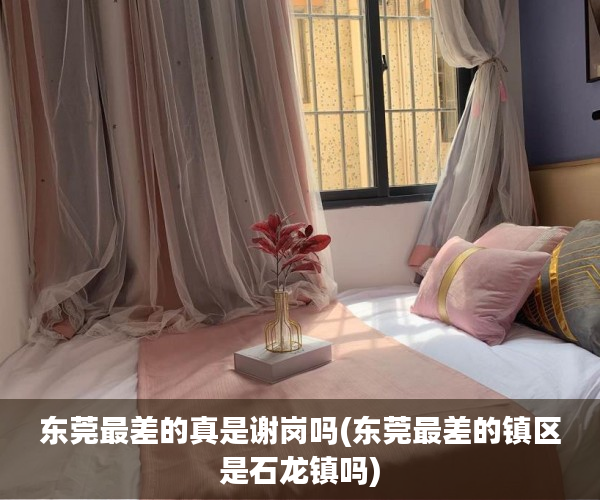 东莞最差的真是谢岗吗(东莞最差的镇区是石龙镇吗) 东莞最差的真是谢岗吗(东莞最差的镇区是石龙镇吗)