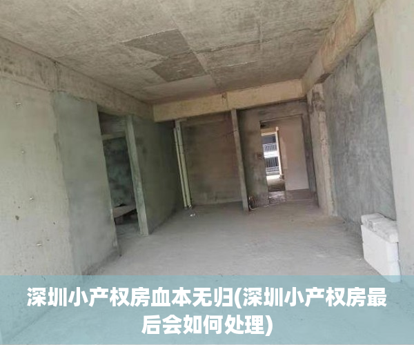 深圳小产权房血本无归(深圳小产权房最后会如何处理) 深圳小产权房血本无归(深圳小产权房最后会如何处理)