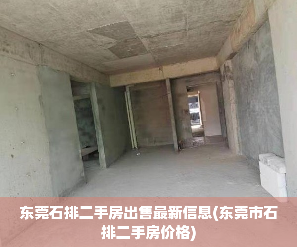 东莞石排二手房出售最新信息(东莞市石排二手房价格) 东莞石排二手房出售最新信息(东莞市石排二手房价格)