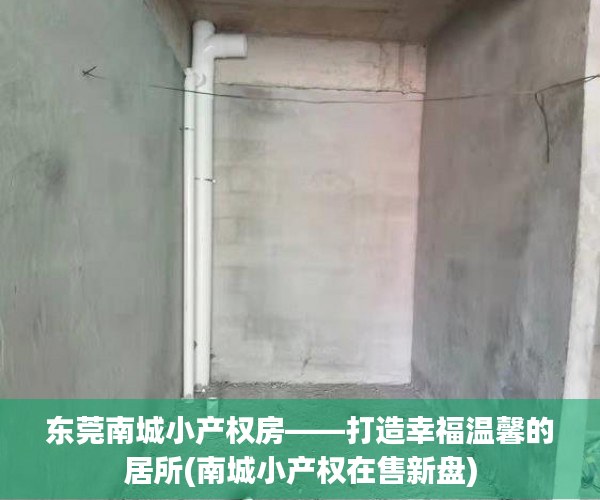 东莞南城小产权房——打造幸福温馨的居所(南城小产权在售新盘)