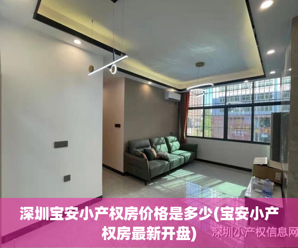 深圳宝安小产权房价格是多少(宝安小产权房最新开盘)