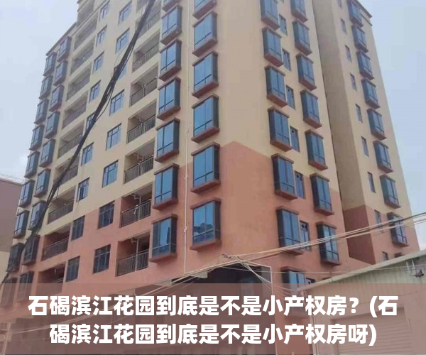 石碣滨江花园到底是不是小产权房？(石碣滨江花园到底是不是小产权房呀)