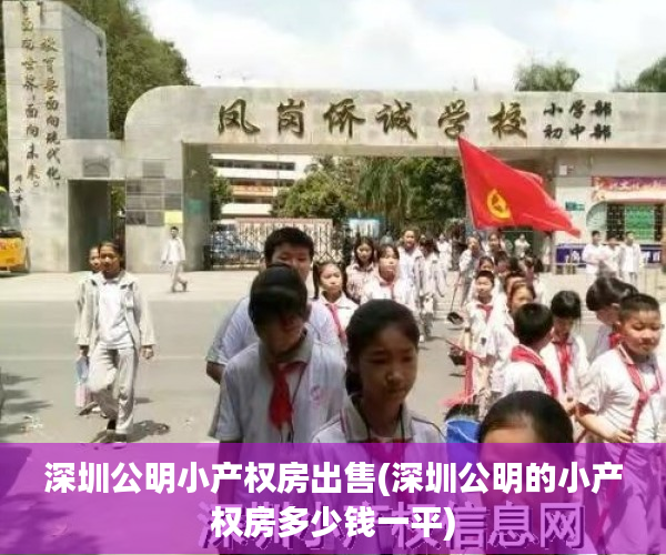 深圳公明小产权房出售(深圳公明的小产权房多少钱一平) 深圳公明小产权房出售(深圳公明的小产权房多少钱一平)