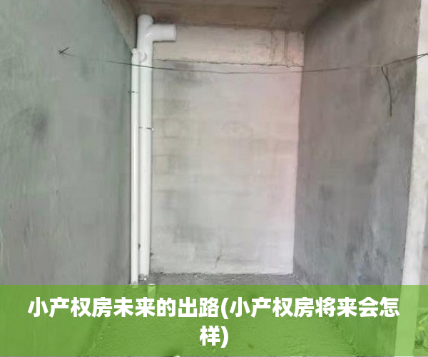 小产权房未来的出路(小产权房将来会怎样) 小产权房未来的出路(小产权房将来会怎样)