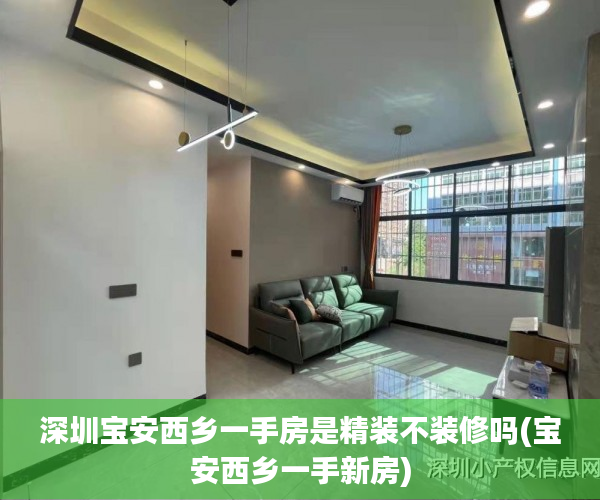 深圳宝安西乡一手房是精装不装修吗(宝安西乡一手新房)