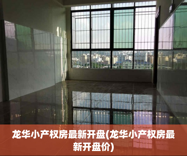 龙华小产权房最新开盘(龙华小产权房最新开盘价) 龙华小产权房最新开盘(龙华小产权房最新开盘价)