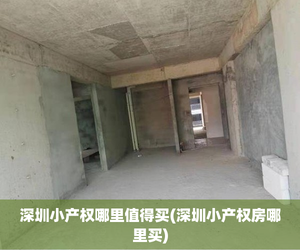 深圳小产权哪里值得买(深圳小产权房哪里买) 深圳小产权哪里值得买(深圳小产权房哪里买)