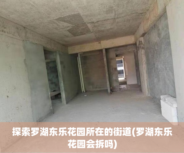 探索罗湖东乐花园所在的街道(罗湖东乐花园会拆吗)