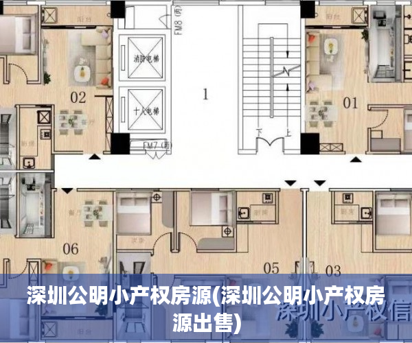 深圳公明小产权房源(深圳公明小产权房源出售)