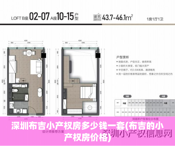 深圳布吉小产权房多少钱一套(布吉的小产权房价格)