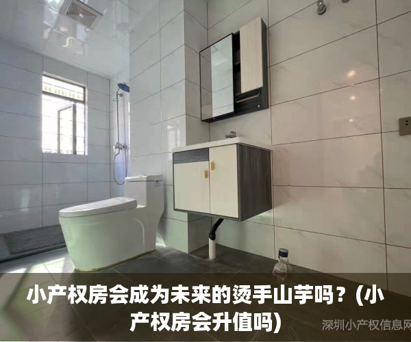小产权房会成为未来的烫手山芋吗？(小产权房会升值吗)