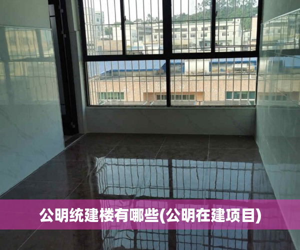 公明统建楼有哪些(公明在建项目) 公明统建楼有哪些(公明在建项目)