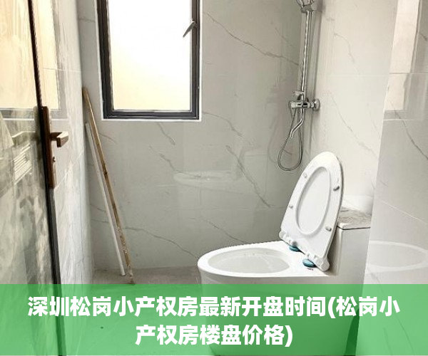 深圳松岗小产权房最新开盘时间(松岗小产权房楼盘价格) 深圳松岗小产权房最新开盘时间(松岗小产权房楼盘价格)