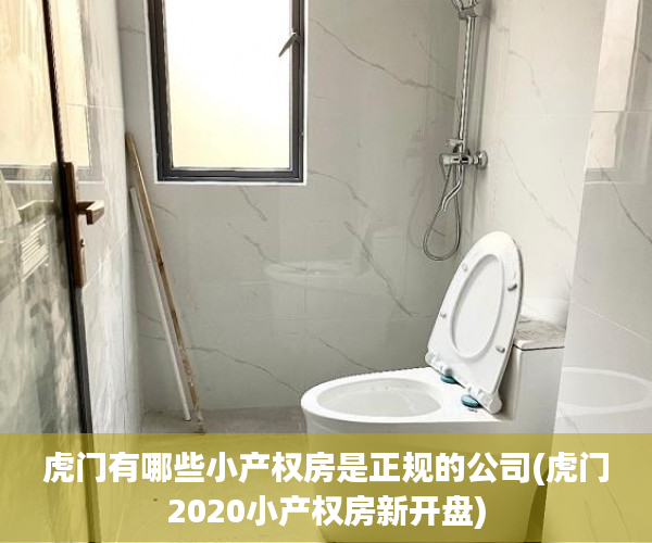 虎门有哪些小产权房是正规的公司(虎门2020小产权房新开盘) 虎门有哪些小产权房是正规的公司(虎门2020小产权房新开盘)