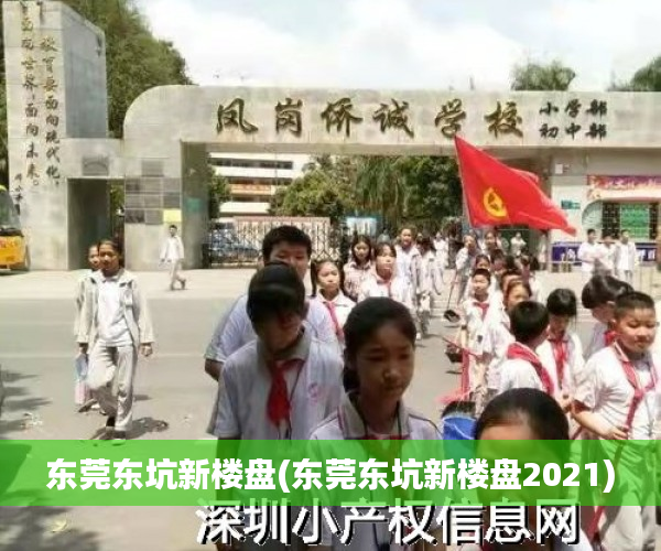 东莞东坑新楼盘(东莞东坑新楼盘2021)