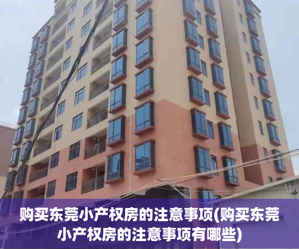 购买东莞小产权房的注意事项(购买东莞小产权房的注意事项有哪些)