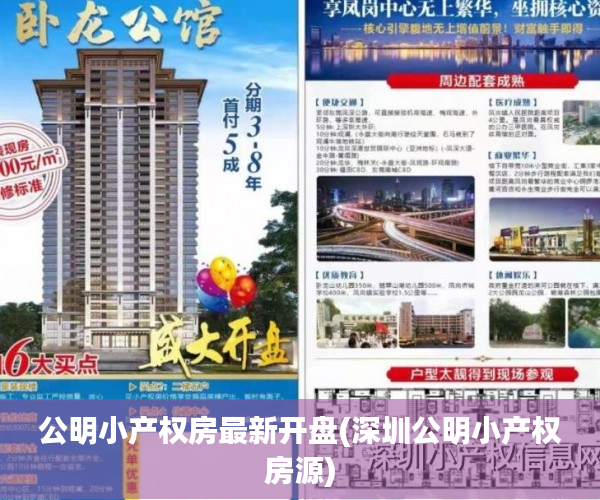 公明小产权房最新开盘(深圳公明小产权房源) 公明小产权房最新开盘(深圳公明小产权房源)