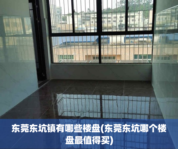 东莞东坑镇有哪些楼盘(东莞东坑哪个楼盘最值得买) 东莞东坑镇有哪些楼盘(东莞东坑哪个楼盘最值得买)