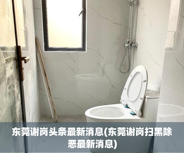 东莞谢岗头条最新消息(东莞谢岗扫黑除恶最新消息) 东莞谢岗头条最新消息(东莞谢岗扫黑除恶最新消息)