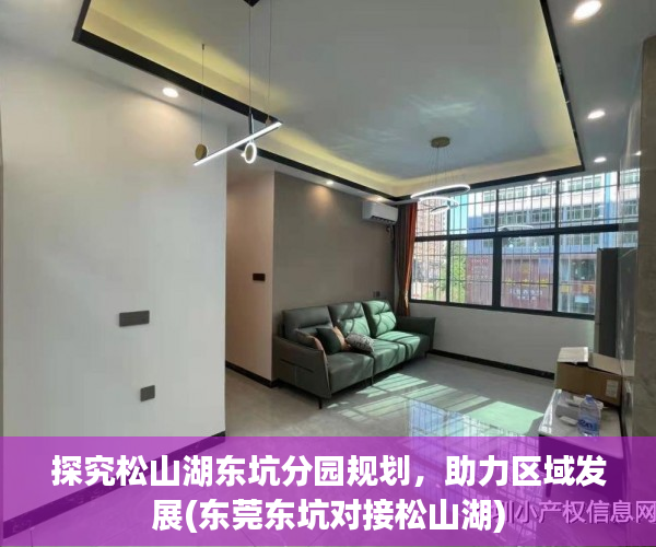 探究松山湖东坑分园规划，助力区域发展(东莞东坑对接松山湖)