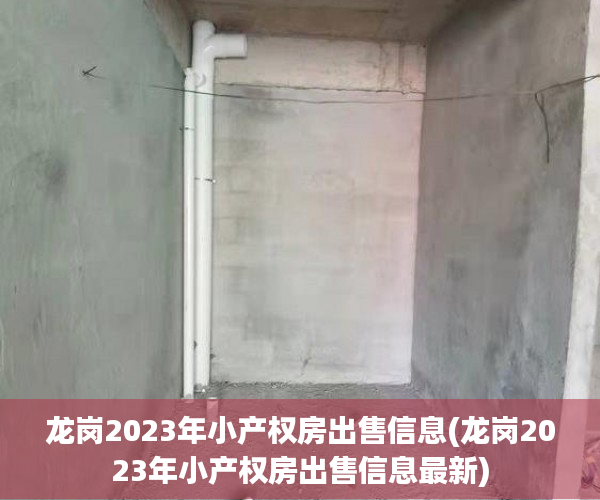 龙岗2023年小产权房出售信息(龙岗2023年小产权房出售信息最新)