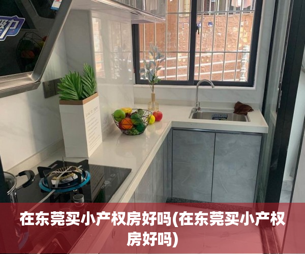 在东莞买小产权房好吗(在东莞买小产权房好吗)