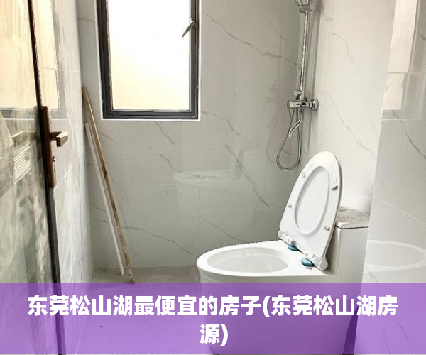 东莞松山湖最便宜的房子(东莞松山湖房源) 东莞松山湖最便宜的房子(东莞松山湖房源)
