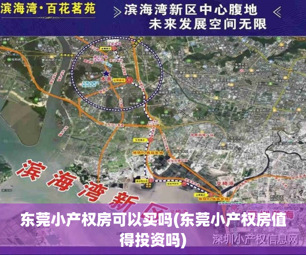 东莞小产权房可以买吗(东莞小产权房值得投资吗) 东莞小产权房可以买吗(东莞小产权房值得投资吗)