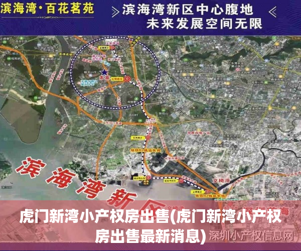 虎门新湾小产权房出售(虎门新湾小产权房出售最新消息)