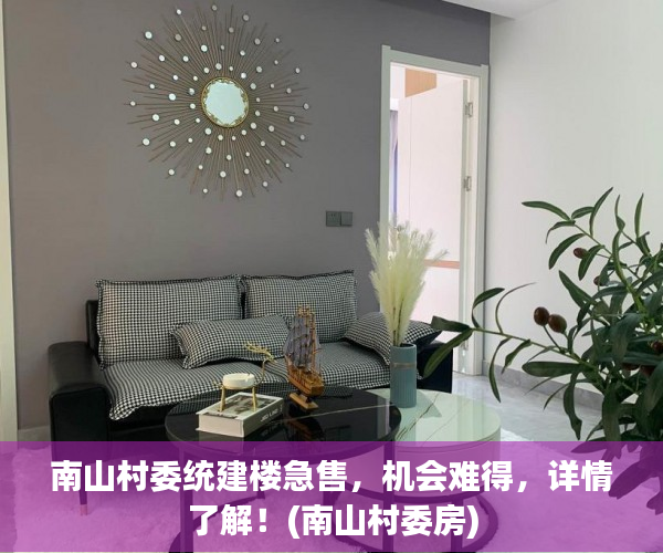 南山村委统建楼急售，机会难得，详情了解！(南山村委房)