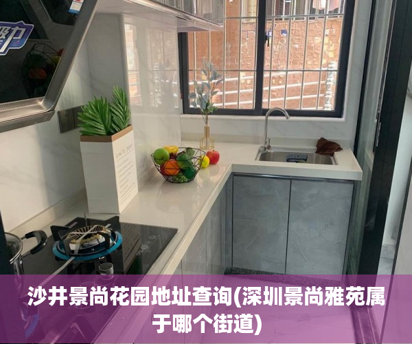 沙井景尚花园地址查询(深圳景尚雅苑属于哪个街道)